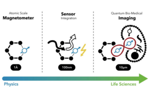 Diagram: Integration of quantum sensors to provide the most precise imaging in biomedicine.